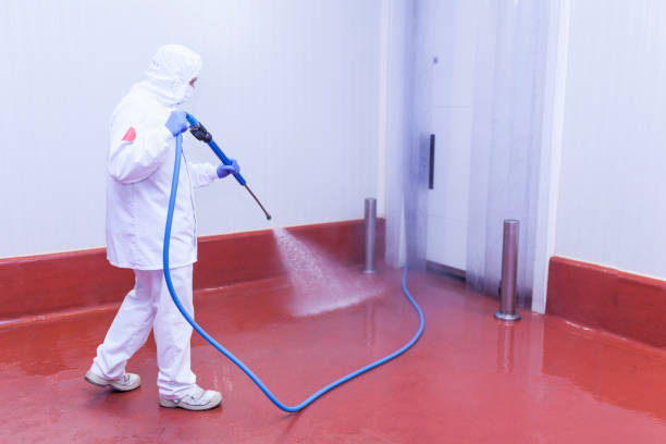 Best Spring Cleaning  in Keyport, NJ